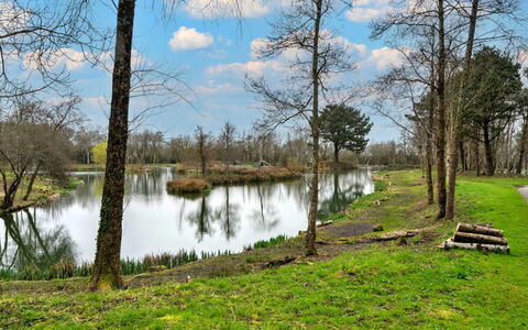 Pine Forest Lodge: L'Eau, Ressources En Eau, Plan D'Eau, Arbre, La Nature, Environnement Naturel, Paysage Naturel, Vert, Branche, Banque