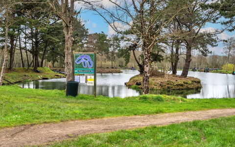 Pine Forest Lodge: L'Eau, La Nature, Banque, Cours D'Eau, Étang, Lac, Réserve Naturelle, Réservoir, Parc