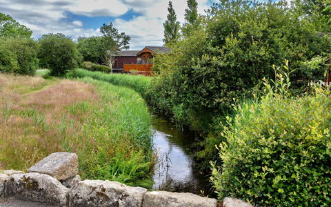 Stargazey: Herbe, La Nature, Paysage Naturel, Végétation, Cours D'Eau, Arbuste, Voie Navigable, Communauté Des Plantes, Paysage