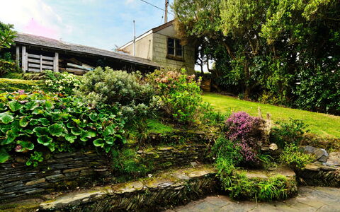 The Cuddy: Vert, Mur, Jardin, Arbuste, Communauté Des Plantes, Couverture De Sol, Mur De Pierre, Printemps, Aménagement Paysager