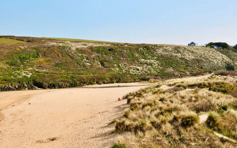 The Cuddy: Environnement Naturel, Écorégion, Horizon, Terrain, Le Sable, Paysage, Communauté Des Plantes, Région Sauvage, Formations Arbustives, Géologie