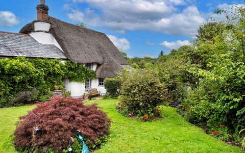 Okehampton 619: Herbe, À Déchaumer, Végétation, Arbuste, Chalet, Toit, Jardin, Communauté Des Plantes, Couverture De Sol