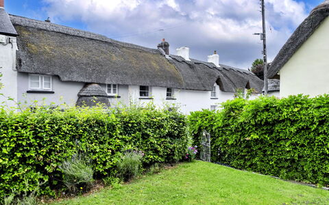 Okehampton 619: Arbuste, Haie, Chalet, Jardin, Aménagement Paysager, Cumulus