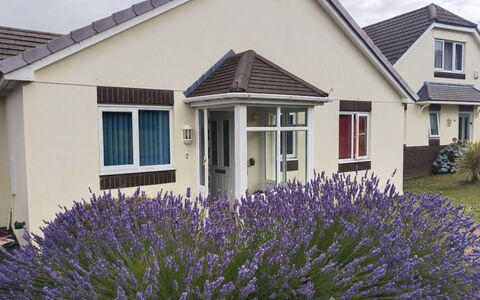 Lavender Waye: Zone Résidentielle, Domicile, Chalet, Jardin, Pelouse, Fenêtre À Guillotine, Cour, Biens, Aménagement Paysager, Banlieue