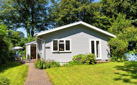 Brockwood: Herbe, Maison, Arbuste, Chalet, Domicile, Couverture De Sol, Jardin, Siding, Pelouse