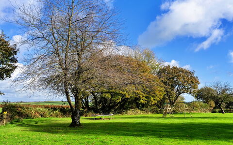 Old Nog Cottage, Stowford: Bleu, Branche, Feuille, Herbe, Vert, Arbre, La Nature, Prairie, Végétation, Brindille