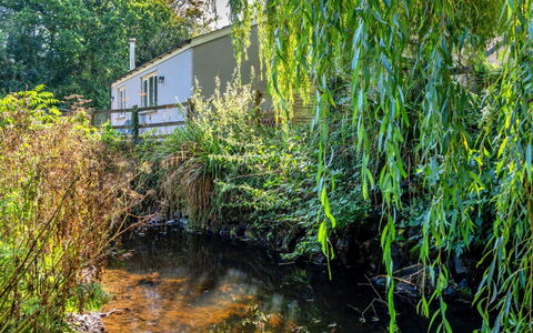 Marsh Cottage: L'Eau, Végétation, Cours D'Eau, Arbuste, Communauté Des Plantes, Banque, Réflexion, Étang, Brindille