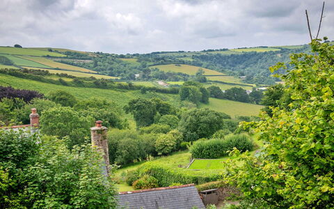 Coulscott Pipistrelle Barn: Vert, Végétation, Paysage Naturel, Arbuste, Paysage, Prairie, Colline, Zone Rurale, Montagnes