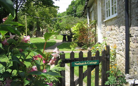 Lea Hill, Nuthatch: Arbuste, Chalet, Printemps, Jardin, Couverture De Sol, Arrière-Cour, Cour, Aménagement Paysager, Ombre