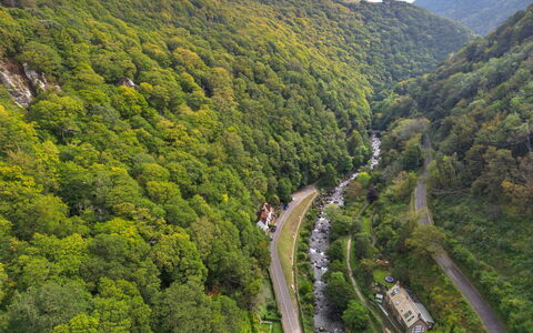 River Cottage: La Nature, Environnement Naturel, Végétation, Arbuste, Forêt, Paysage, Montagnes, Communauté Des Plantes, Jungle, Rue