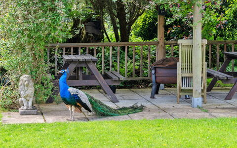 Trimstone Manor - Paddock Cottage: Jardin, Extérieur Banc, Pelouse, Cour