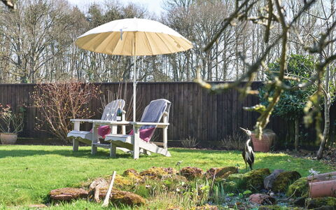 Snuggery: Meubles, Mobilier De Jardin, Bois, Chaise, Arbuste, Jardin, Parapluie, Tableau De Plein Air, Pelouse, Couverture De Sol