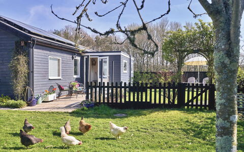Snuggery: Maison, Chalet, Domicile, Arbuste, Jardin, Siding, Porte, Arrière-Cour, Couverture De Sol