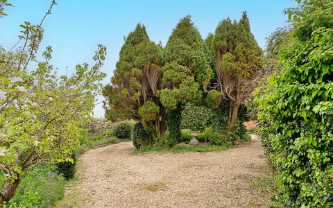 Heselwood: Vert, Feuille, Végétation, Arbuste, Jardin, Communauté Des Plantes, Couverture De Sol, Suppression Des Plantes Ligneuses, Jardin Botanique