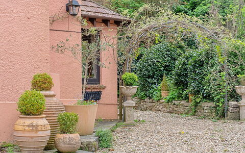 Heselwood: Arbuste, Pot De Fleur, Jardin, Printemps, Aménagement Paysager, Plante D'Appartement, Dalle, Passerelle, Brique