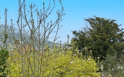 The Heselwood Coach House: Ciel, Branche, La Nature, Feuille, Végétation, Jaune, Brindille, Printemps, Suppression Des Plantes Ligneuses