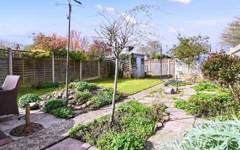 Forget Me Not: Jardin, Arbuste, Couverture De Sol, Passerelle, Arrière-Cour, Aménagement Paysager, Dalle, Cour, Ombre