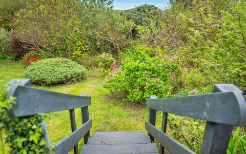Arfron: Vert, Feuille, La Nature, Végétation, Paysage Naturel, Arbuste, Communauté Des Plantes, Jardin, Couverture De Sol, Réserve Naturelle