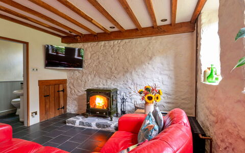 Pandy Farmhouse: Bois, Meubles, Domicile, Sol, Foyer, Chalet, Tache De Bois, Salon, Dur