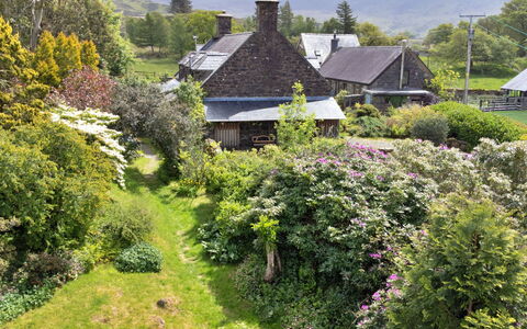 Y Cwtch: Vert, Végétation, Maison, Toit, Arbuste, Chalet, Communauté Des Plantes, Jardin, Zone Rurale