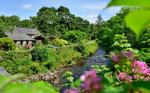 Artro View: Fleur, La Nature, Végétation, Arbuste, Jardin, Chalet, Maison, Cours D'Eau, Communauté Des Plantes