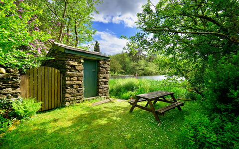 Tafarn Trip: La Nature, Bois, Végétation, Paysage Naturel, Arbuste, Communauté Des Plantes, Jardin, Zone Rurale, Couverture De Sol, Printemps