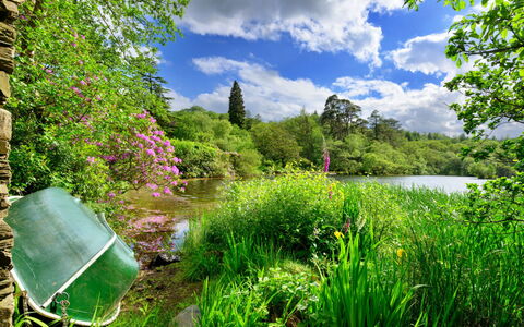 Tafarn Trip: Vert, La Nature, Paysage Naturel, Végétation, Arbuste, Jardin, Été, Cours D'Eau, Communauté Des Plantes, Banque