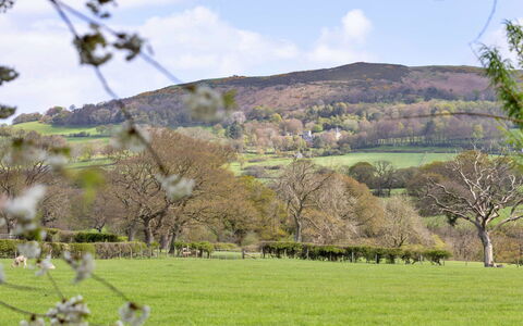 Waen Farm Cottage: Montagnes Relief, Arbre, Environnement Naturel, La Nature, Feuille, Colline, Paysage Naturel, Végétation, Prairie, Montagne