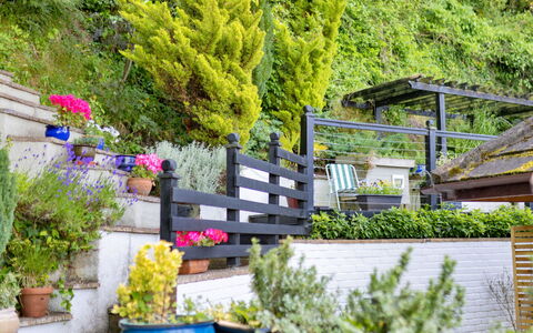 Yr Ardd Bellaf: Fleur, Arbuste, Jardin, Pot De Fleur, Couverture De Sol, Printemps, Aménagement Paysager, Plante D'Appartement, Cour