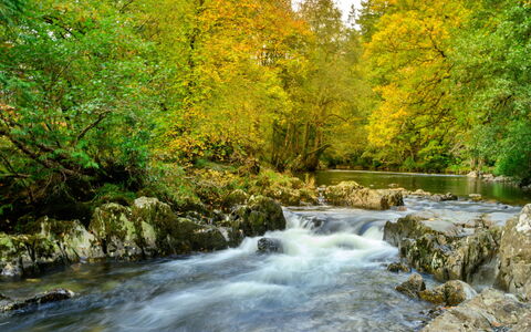 Bod Gwynedd: L'Eau, Ressources En Eau, Plan D'Eau, Feuille, La Nature, Branche, Cours D'Eau, Vert, Courant, Environnement Naturel