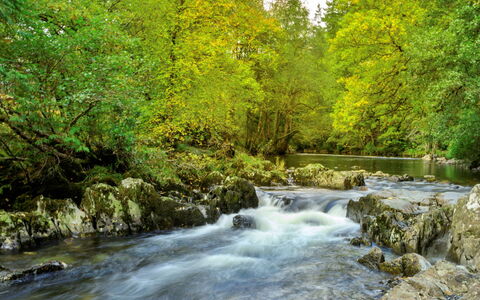 Dyffryn: Ressources En Eau, L'Eau, Cours D'Eau, Plan D'Eau, Branche, La Nature, Feuille, Vert, Courant, Environnement Naturel