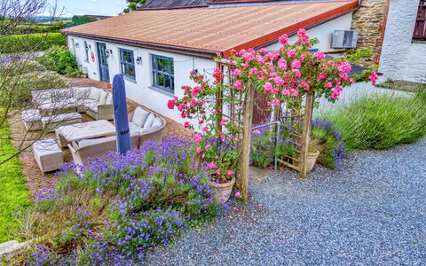 Jabajak Vineyard: Fleur, Arbuste, Jardin, Chalet, Couverture De Sol, Printemps, Aménagement Paysager, Cour, Ferme