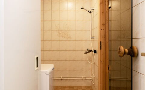 Koli Country Club B 5: Sol, Mur, Luminaire Plomberie, Salle De Bains, Sol, Bois, Design Intérieur, Plomberie, Pièce, Marron