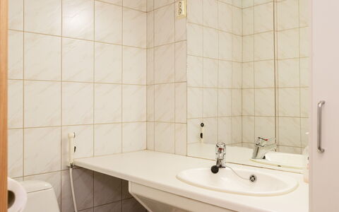 Koli Country Club B 7: Lavabo, Luminaire Plomberie, Mur, Sol, Évier, Sol, Salle De Bains, Design Intérieur, Robinet, Plomberie