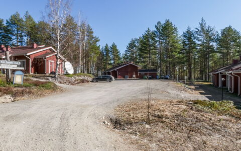 Koli Country Club B 7: Arbre, Bois, Chalet, Maison, Domicile, Toit, Lot Terre, Allée, Mélèze, Village
