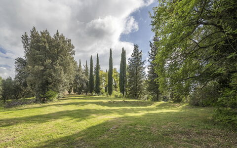 Casa Amelia, Pool, Casole Elsa, Monti: Feuille, Herbe, Arbre, Environnement Naturel, La Nature, Vert, Branche, Végétation, Paysage Naturel, Arbuste