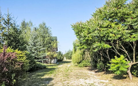 Oaza Spokoju: Végétation, Arbuste, Communauté Des Plantes, Suppression Des Plantes Ligneuses, Jardin, À Feuilles Persistantes, Aménagement Paysager, Mélèze, Formations Arbustives
