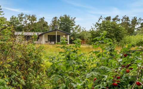 Söffren - 450M to the Fjord: Arbre, Herbe, Arbuste, Zone Rurale, Lot Terre, Prairie, Chalet, Plaine