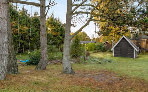 Alkmar - from the Sea: Arbre, Herbe, Feuille, Branche, Arbuste, Paysage, Jardin, Lot Terre, Zone Rurale