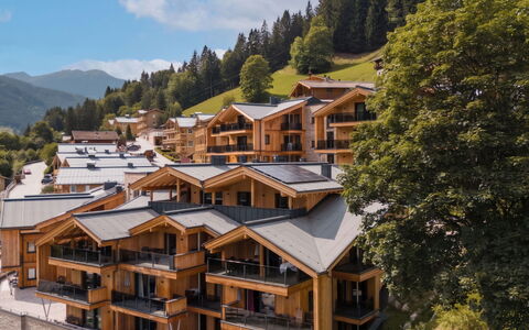 Viehhofen 1: Balcon, Lumber, Eco Hôtel, Village De Montagne, Hôtel, Recours, Siding, Alpes