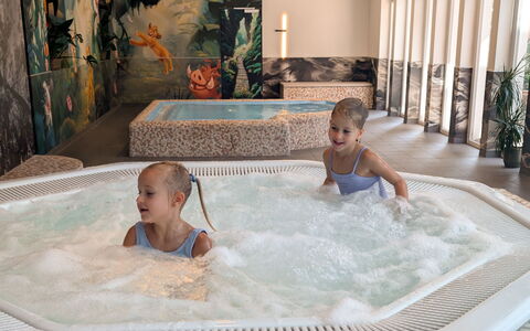 Viehhofen 1: Loisir, Confort, Enfant, Jacuzzi, Hôtel, Piscine, Recours