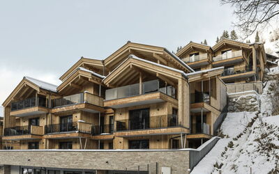 Logement:&nbsp;Apartement Superior 1.1