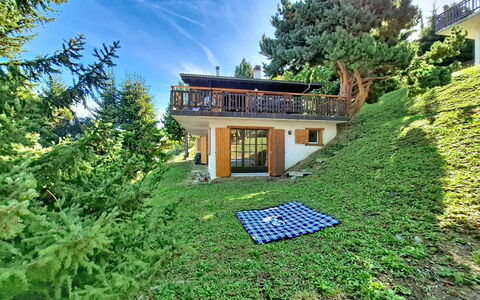 Ozer: Maison, Domicile, Chalet, Jardin, Zone Rurale, Pelouse, Ferme, Biens, Cour, Arrière-Cour
