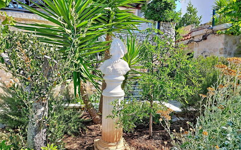 Bliss: Arbuste, Jardin, Pelouse Ornement, Pot De Fleur, Colonne, Aménagement Paysager, Plante D'Appartement, Jardin Botanique
