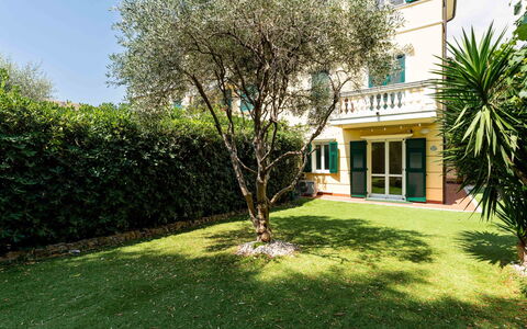 Casa Dell'Ulivo: Vert, Arbuste, Jardin, Pelouse, Haie, Aménagement Paysager, Ombre, Cour, Arrière-Cour, Biens
