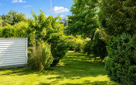 Jennys Pärla: Vert, Feuille, La Nature, Végétation, Arbuste, Jardin, Couverture De Sol, Printemps, Lumière Du Soleil