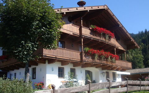 Hopfgarten im Brixental 696: Chalet, Balcon, Village, Pot De Fleur, Plante D'Appartement, Ferme