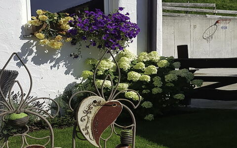 Hopfgarten im Brixental 696: Fleur, Printemps, Jardin, Floristique, Pot De Fleur, Art Floral, Cour, Aménagement Paysager, Plante D'Appartement