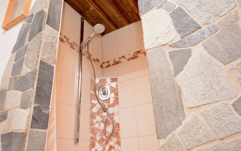 Hopfgarten im Brixental 696: Sol, Sol, Tuile, Luminaire Plomberie, Plomberie, Salle De Bains, Tache De Bois, Tete De Douche