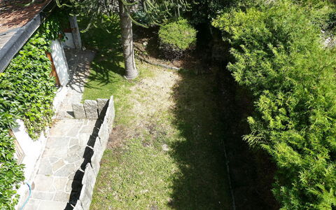 Ludiano 25: Vert, Feuille, Arbuste, Jardin, Couverture De Sol, Ombre, Arrière-Cour, Passerelle, Cour